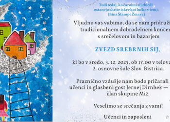 Koncert s srečelovom in bazarjem ZVEZD SREBRNIH SIJ