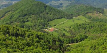 Boč skozi zgodbe, naravo in inovacije: ko se dediščina povezuje z ljudmi