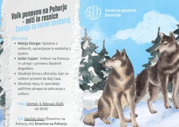 Lovska razstava in predavanje o volkovih na Pohorju