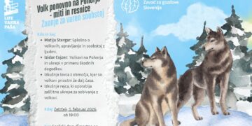 Lovska razstava in predavanje o volkovih na Pohorju