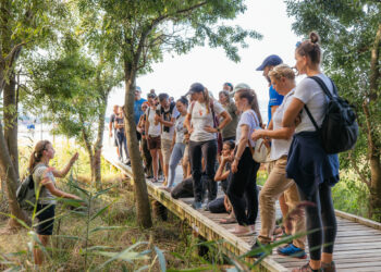 Regijski park Pohorje vabi na usposabljanje za vodnike in vodnice