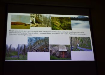 Boč kot kraški svet – naravne posebnosti in odgovorno ravnanje v naravi