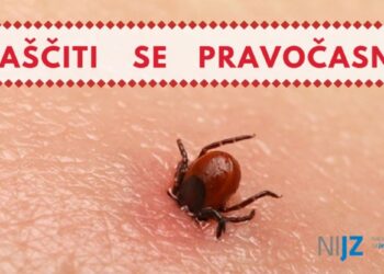 Cepljenje proti klopnemu meningocefalitisu za odrasle in otroke