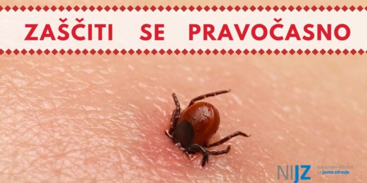 Cepljenje proti klopnemu meningocefalitisu za odrasle in otroke