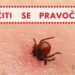 Cepljenje proti klopnemu meningocefalitisu za odrasle in otroke