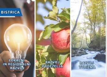 Objavljen razpis za direktorja RIC Slovenska Bistrica