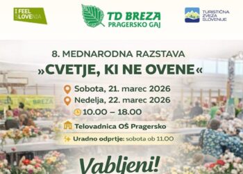 Ta konec tedna na Pragerskem razstava »Cvetje, ki ne ovene«