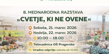 Ta konec tedna na Pragerskem razstava »Cvetje, ki ne ovene«