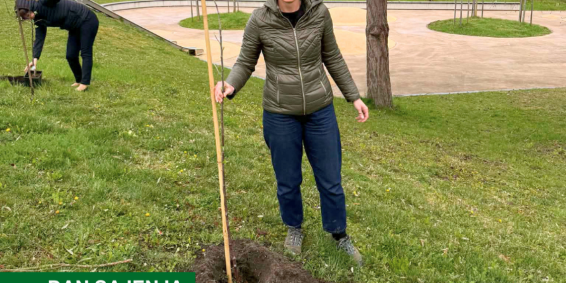 V Poljčanah zasadili medovita drevesa
