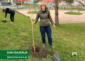 V Poljčanah zasadili medovita drevesa