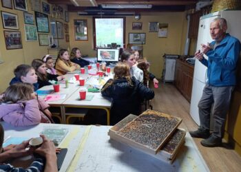 Poljčanski čebelarji zelo dejavni