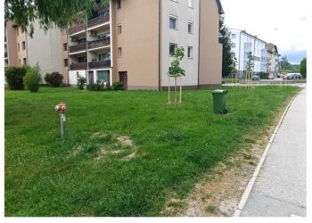 Komunala obvešča o zabojnikih za deratizacijo
