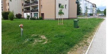 Komunala obvešča o zabojnikih za deratizacijo