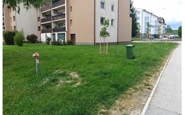 Komunala obvešča o zabojnikih za deratizacijo