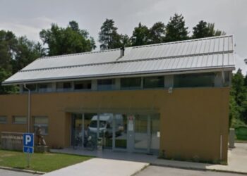 Začasno ustavljen sprejem mačk v zavetišče